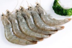 【海鮮動態】我國進口33998噸厄瓜多爾白蝦,單價比去年暴增30%！
